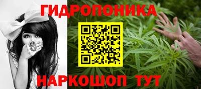 амф Краснознаменск